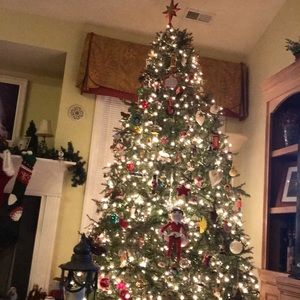 Meet your Posher, Jill